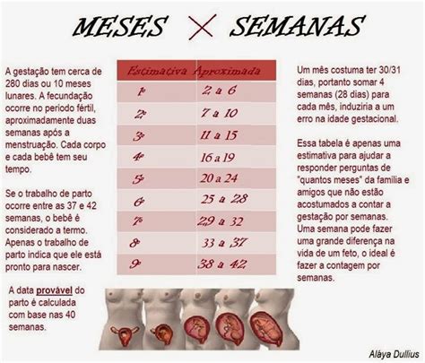 Quantas Semanas A Mae Sente O Bebe Mexer