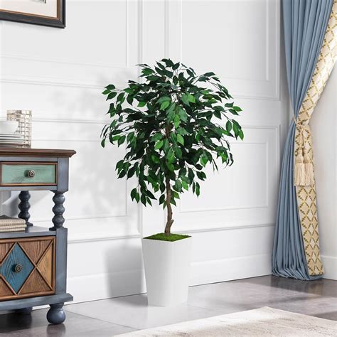 Astidy Rbol De Ficus Artificial De Pies Rbol De Interior Sint Tico