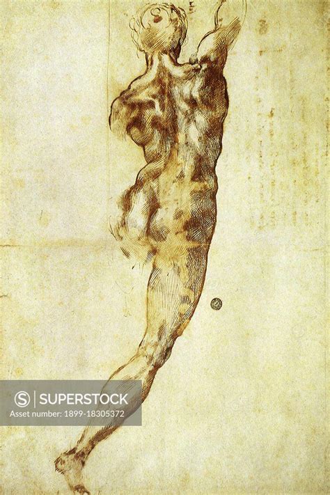 Study Of A Nude For The Battle Of Cascina Buonarroti Michelangelo 1510 SuperStock