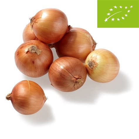 Zwiebeln können den Testosteronspiegel signifikant erhöhen - Natural Doping
