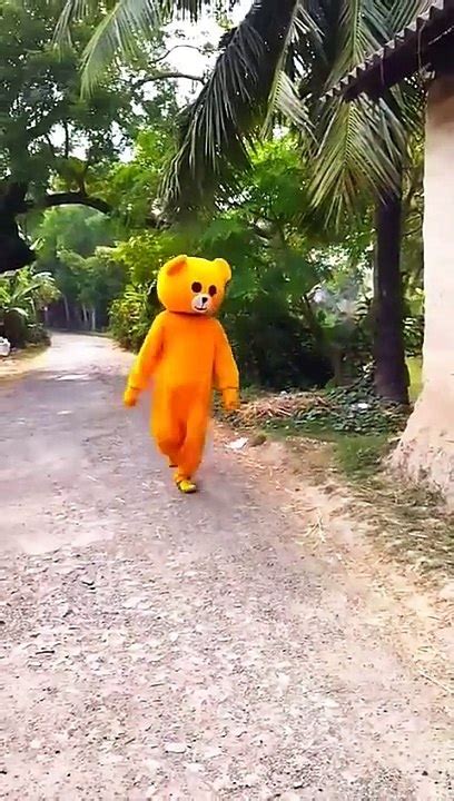 Teddy Bear Funny Video Video Dailymotion