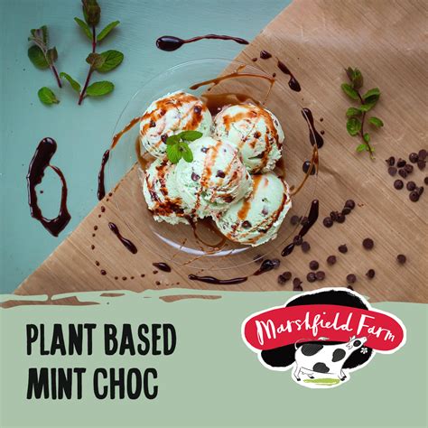 24lt Marshfield Plant Based Mint Consort Frozen Foods