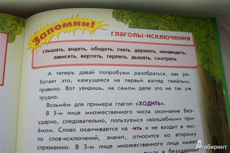 Книга: Все правила русского языка для детей - Мария Фетисова. Купить ...