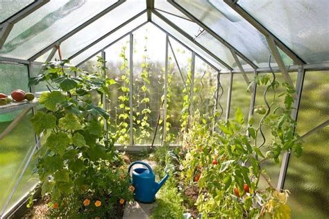 How To Set Up A Greenhouse Kit For Beginners Greenhouse Info