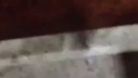 Stall Wanker Gay Man Porn XHamster