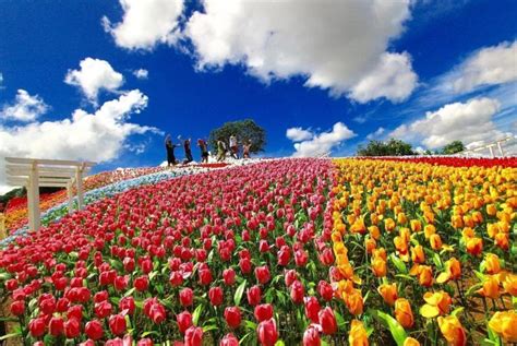 6 Most Beautiful Flower Gardens In The Philippines