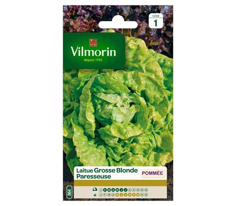 Laitue Pomm E Grosse Blonde Paresseuse Emery Centre Jardin