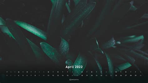 300 Papéis de Parede de Calendário Wallpapers