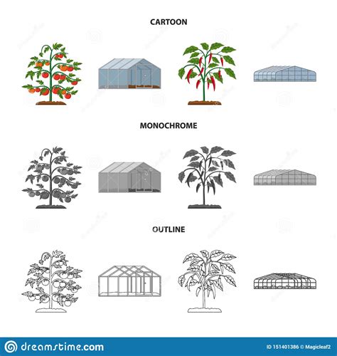 Vector Illustration Of Greenhouse And Plant Icon Collection Of