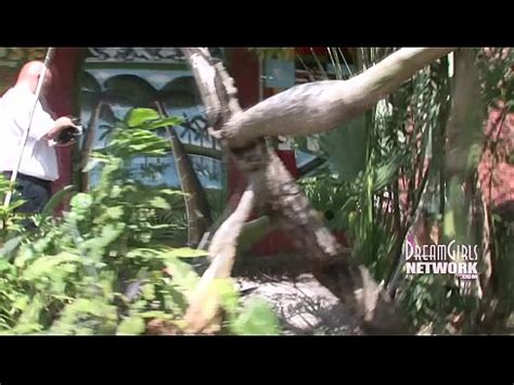 Hot Chicks Caught Getting Naked At XNXX