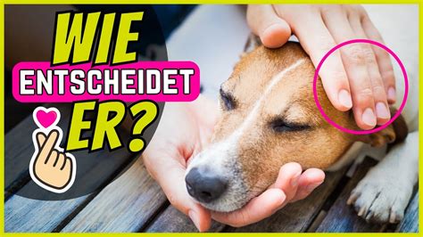 Wie Entscheiden Hunde Wer Sie Streicheln Darf Und Wer Nicht Youtube