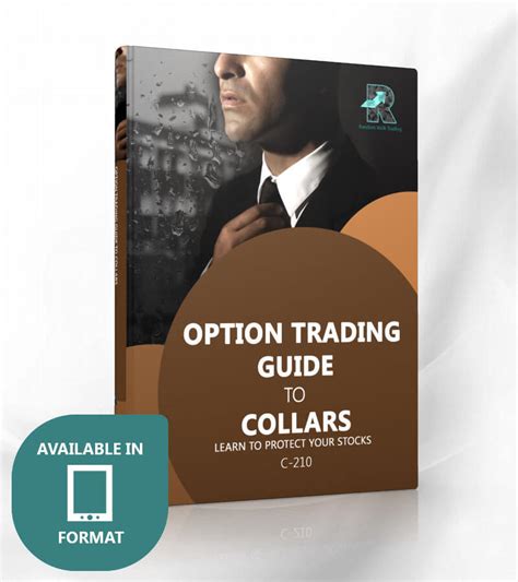 level  option trading guide  collars learn  protect  stocks