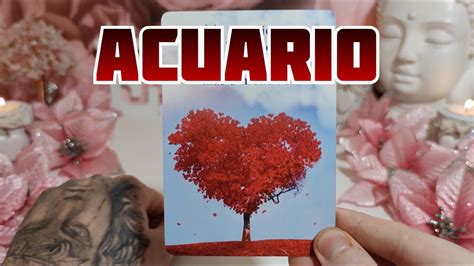 Acuario ♒️ Te Doy Fecha Exacta ️😱🚨 Se Comunica Contigo 📞 Horoscopo Acuario Amor Noviembre 2021 ️