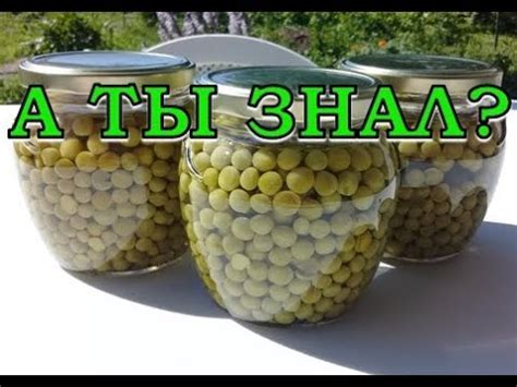 Консервируем ЗЕЛЕНЫЙ ГОРОШЕК на зиму. Пошаговый рецепт. - YouTube
