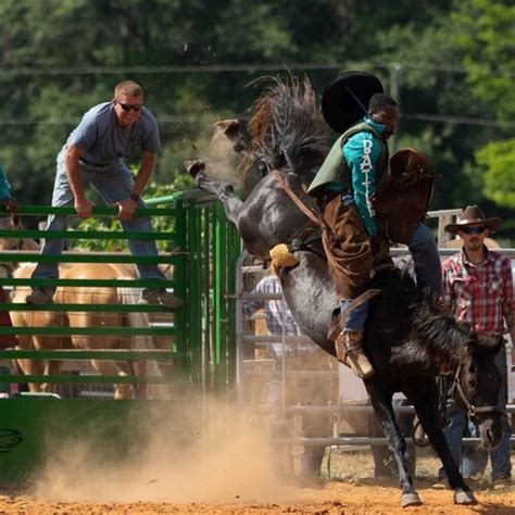 Carolina Box Office | Black Cowboy Festival & Rodeo