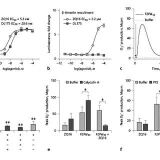 Chemical Structures Of GPR84 Agonists And Their Ability To Activate The