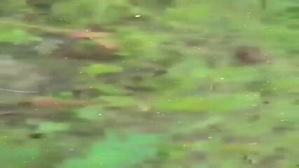 Bangladeshi Khanki Magi Fuck In Jungle