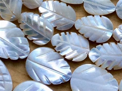 Mother of-pearl White Carved Leaf Size: 8x12mm 9x14mm - Etsy