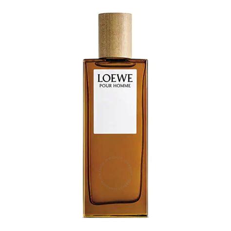 Loewe Pour Homme Edt Men Perfume 100Ml – Perfume Online