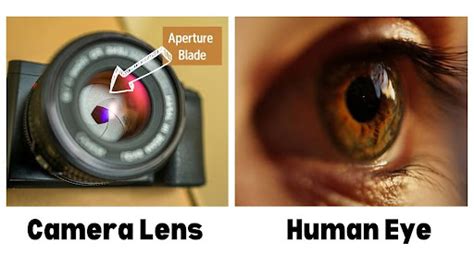 understanding aperture examples    beginners