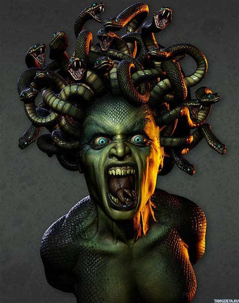 Картинки Медуза Горгона - скачать бесплатно (25 фото)