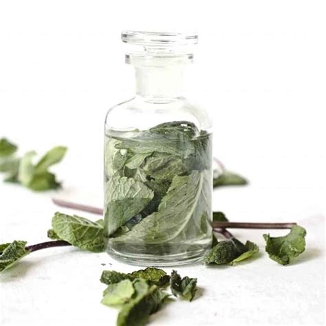 How To Make A Mint Extract And 11 Ways To Use It Simplybeyondherbs