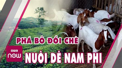 Làm giàu từ nông nghiệp hot boy x nuôi dê Nam Phi thành tỷ phú Cuộc sống H nhà nông YouTube