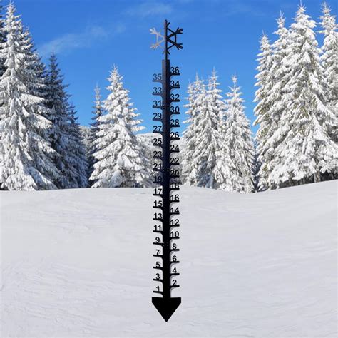 Amazon.com : plencell Snow Gauge Outdoor, 36 Inch Snowfall Measuring