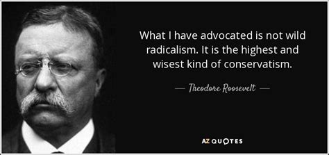 Theodore Roosevelt Quote What I Have Advocated Is Not Wild Radicalism