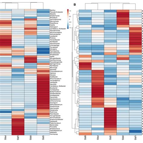 Heat Map Showing The Abundances Of Bacterial Communities At Genus