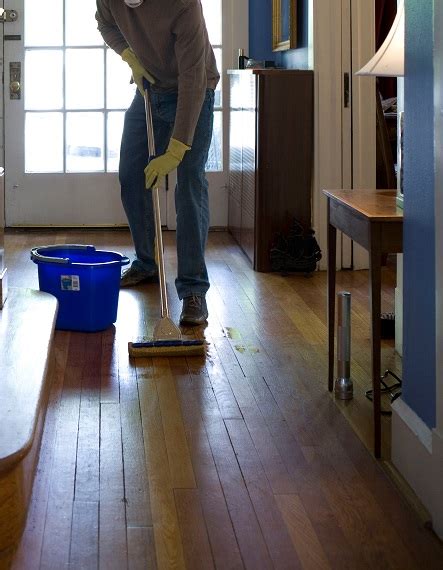 Steam Clean Polyurethane Wood Floors Floor Roma