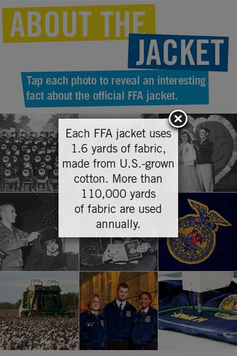 images  ffa  pinterest plastic table covers pigs