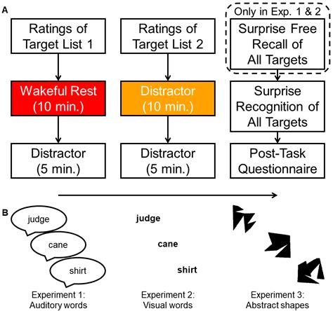 Brain Sciences | Free Full-Text | Wakeful Rest Benefits Recall, but Not