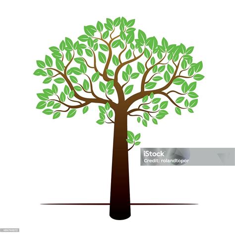 Стокова ілюстрація Кольорове Дерево І Зелені Листочки Векторна ...