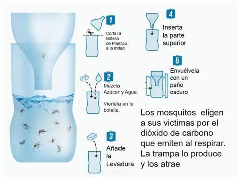 Trampa Para Moscas Casera Aprende C Mo Crearla