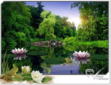 Озеро с лилиями - скачать бесплатно на сайте otkrytkivsem.ru