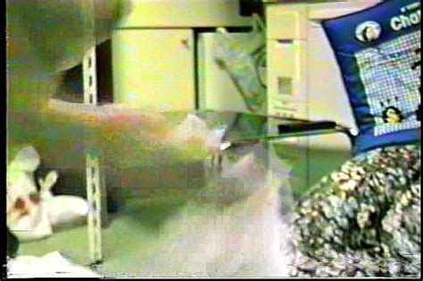 Watch 巨乳のリコで射精 主婦 人妻 妊娠 Porn SpankBang