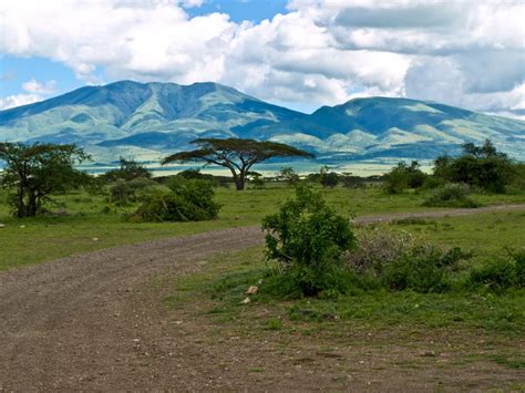 Sustainable Agriculture In Tanzania The Borgen Project