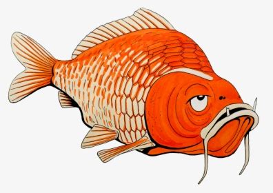 Goldfish - Coral Reef Fish, HD Png Download , Transparent Png Image