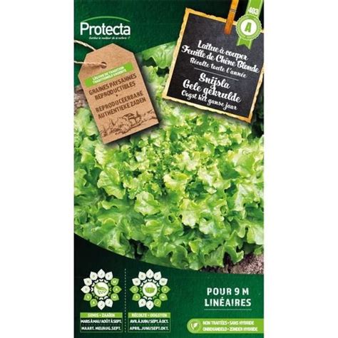 Laitue Couper Feuille De Ch Ne Blonde Protecta Graines Paysanne D Cdiscount Jardin