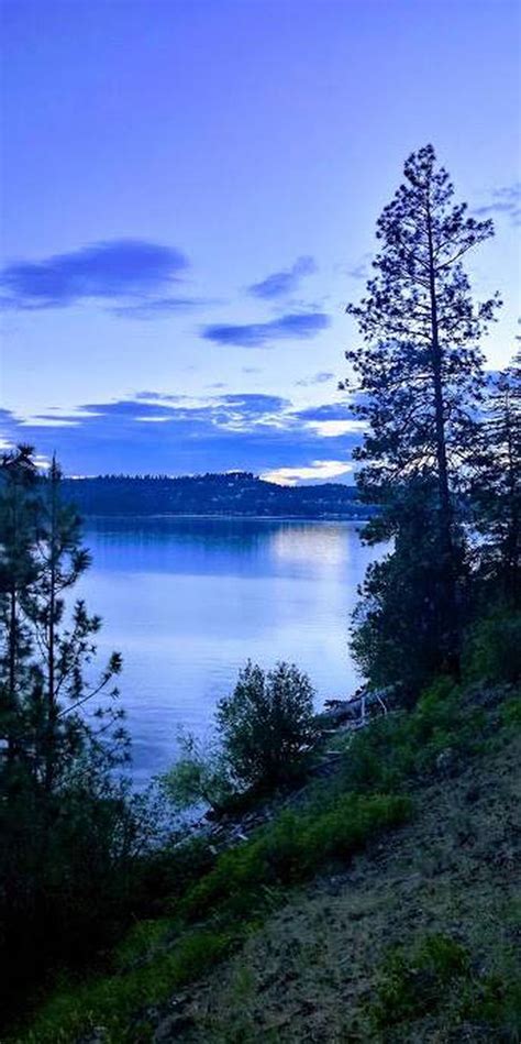 Bell Bay Campground, Idaho Panhandle National Forests - Recreation.gov