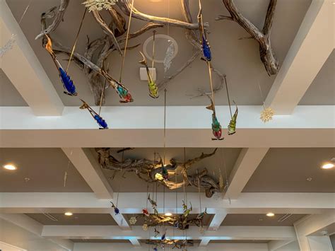 Anna Maria Island: A Florida Gem - Florida Sun Adventures