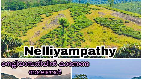 നലലയമപത Nelliyampathy Nelliyampathy one day trip