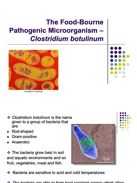 Clostridium Botulinum Presentation Pdf Botulinum Toxin Medical