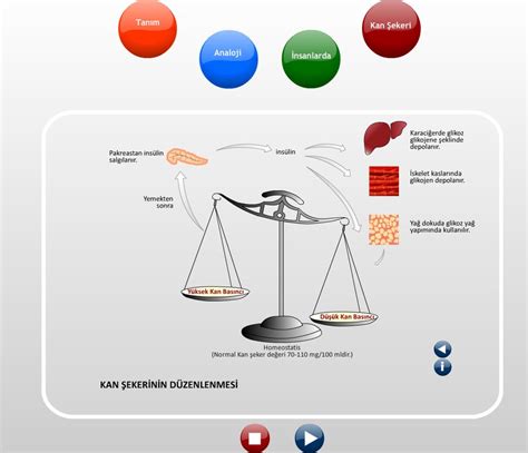 stage step screenshot  scientific diagram