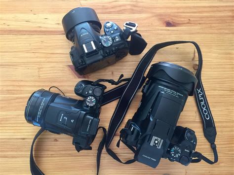 Nikon P1000 Review For Safari Wildlife And Bird Photography