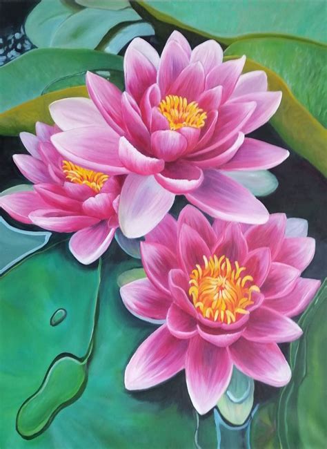 pink water lily drawing