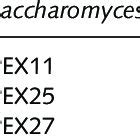 Peroxisome division components in humans, yeast, Arabidopsis and moss ...