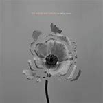 THE NAKED AND FAMOUS ザネイキッドアンドフェイマス UNIVERSAL MUSIC JAPAN