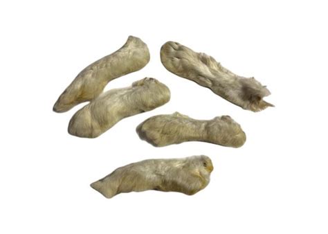 Rabbit Feet With Fur